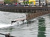 GNF_2014_37