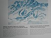 GNF_2014_57